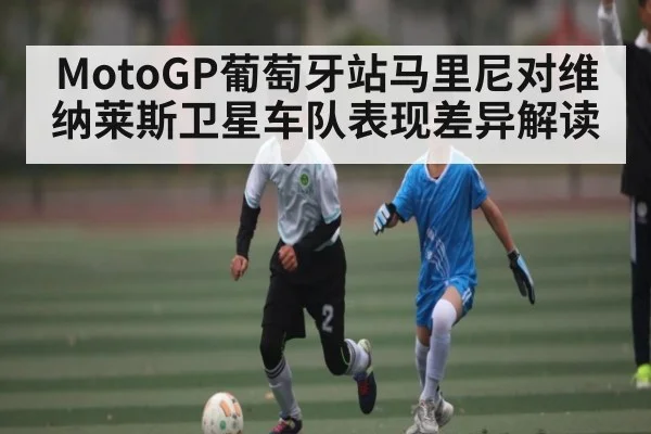 MotoGP葡萄牙站马里尼对维纳莱斯卫星车队表现差异解读